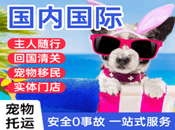 宁蒗泸沽湖空运公司国际宠物托运 【国